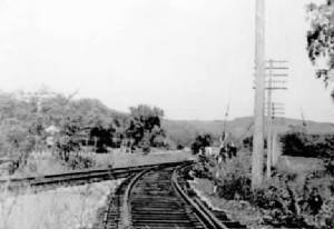 harlemcrossing.jpg